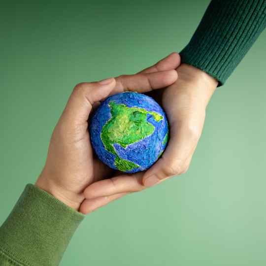 Sustainability Fair