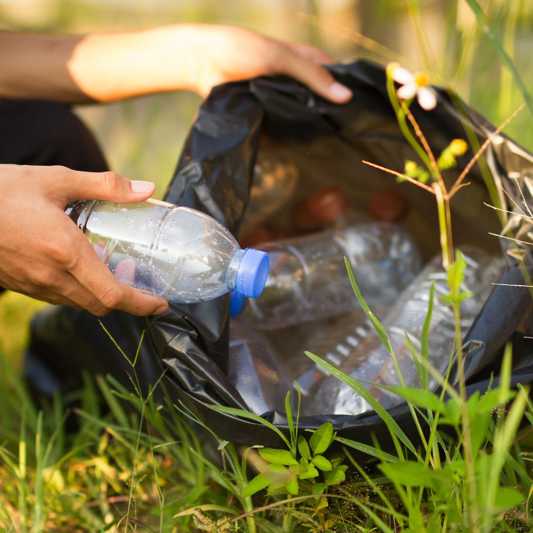 Forest Park Community Clean Up