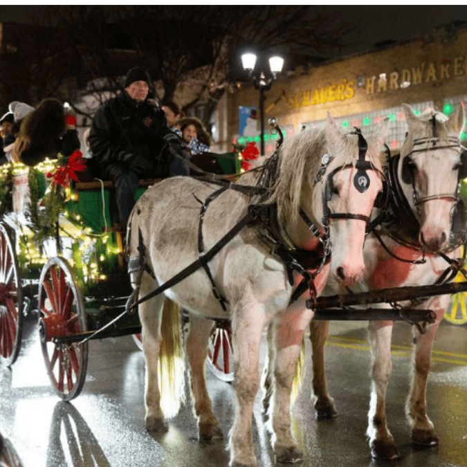 Forest Park Holiday Walk