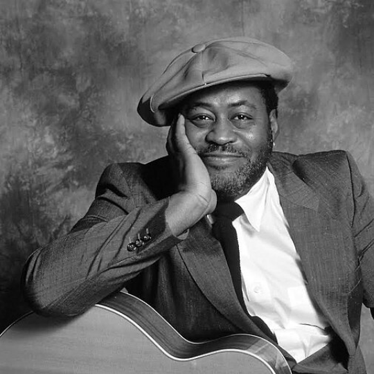 The Blues: The History and the Music