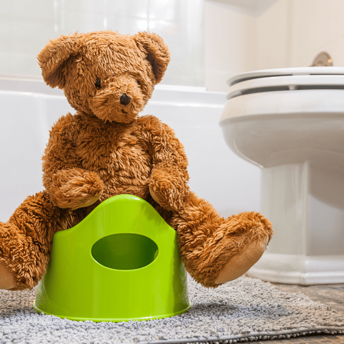 Potty Training Workshop