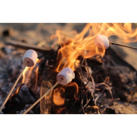 After-Hours Campfire Singalong