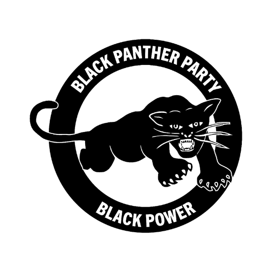 Unlocking the History of the Black Panthers in Illinois
