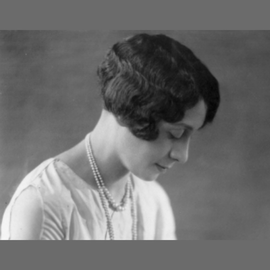 A History of the Vivian G. Harsh Collection
