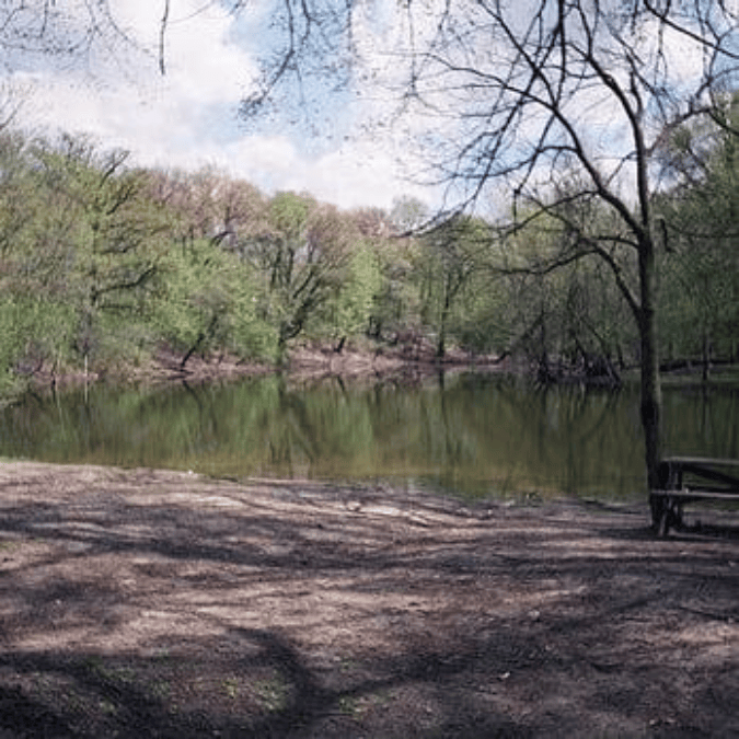 Pond Exploration at the Trailside Museum of Natural History