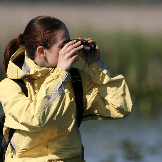 All Ages Bird Watching at Thatcher Woods: Learning About Birds