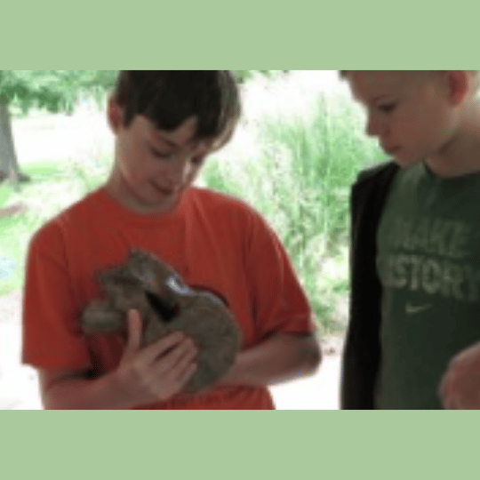 Discover Dinosaurs with the T-Rexplorers!