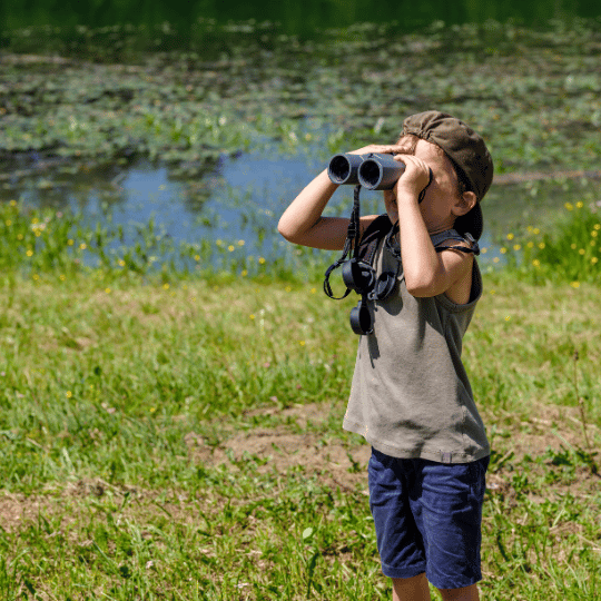 All Ages Bird Watching at Thatcher Woods: Learning About Birds